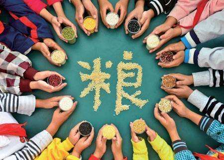 輸送帶廠家：第40個(gè)世界糧食日，食品安全很重要
